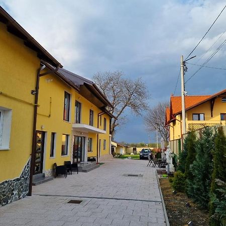 Izabella Guest House Săcele Zewnętrze zdjęcie