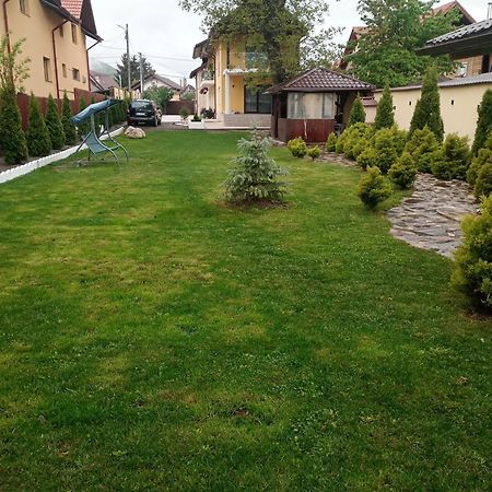 Izabella Guest House Săcele Zewnętrze zdjęcie