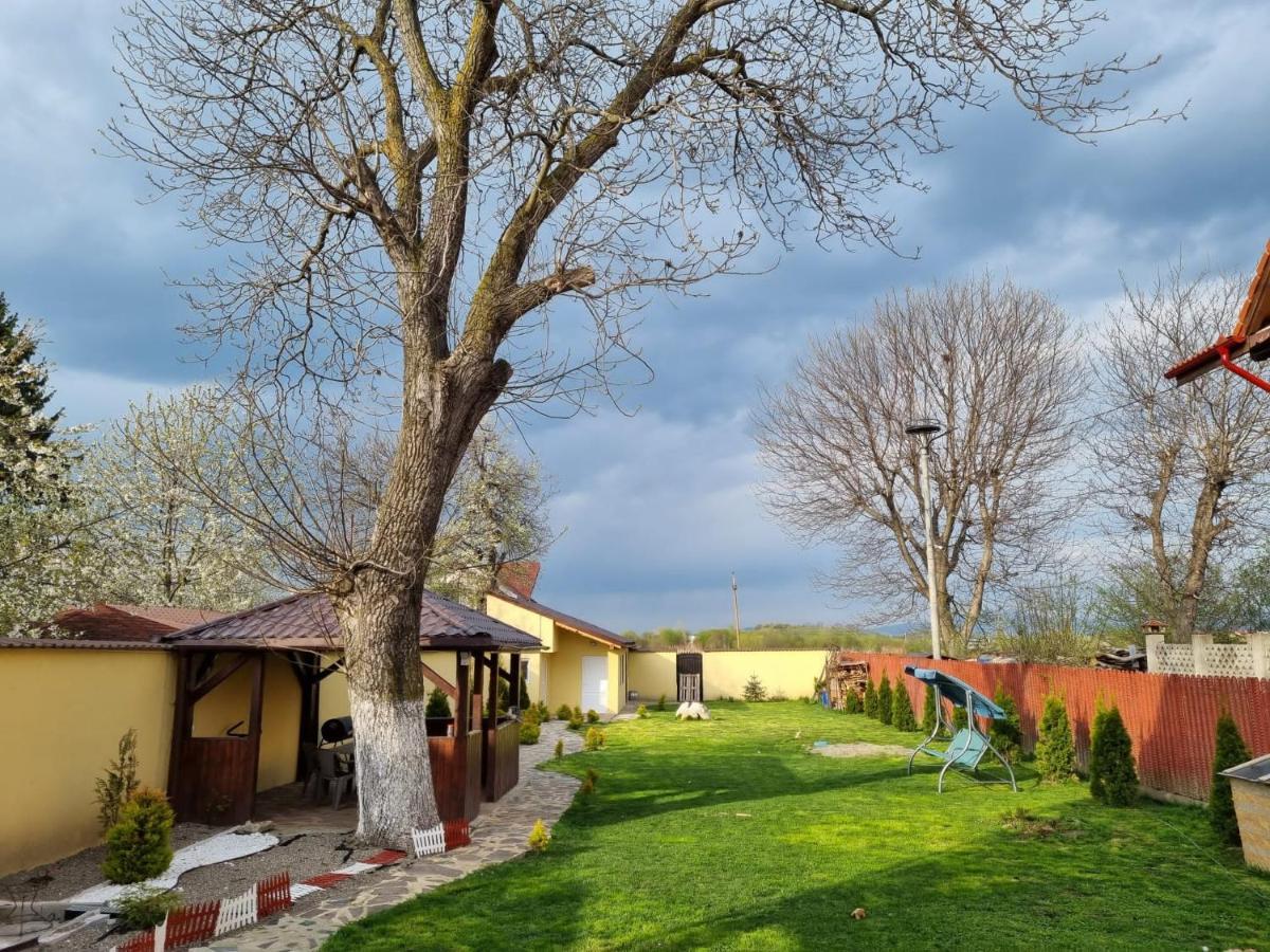 Izabella Guest House Săcele Zewnętrze zdjęcie