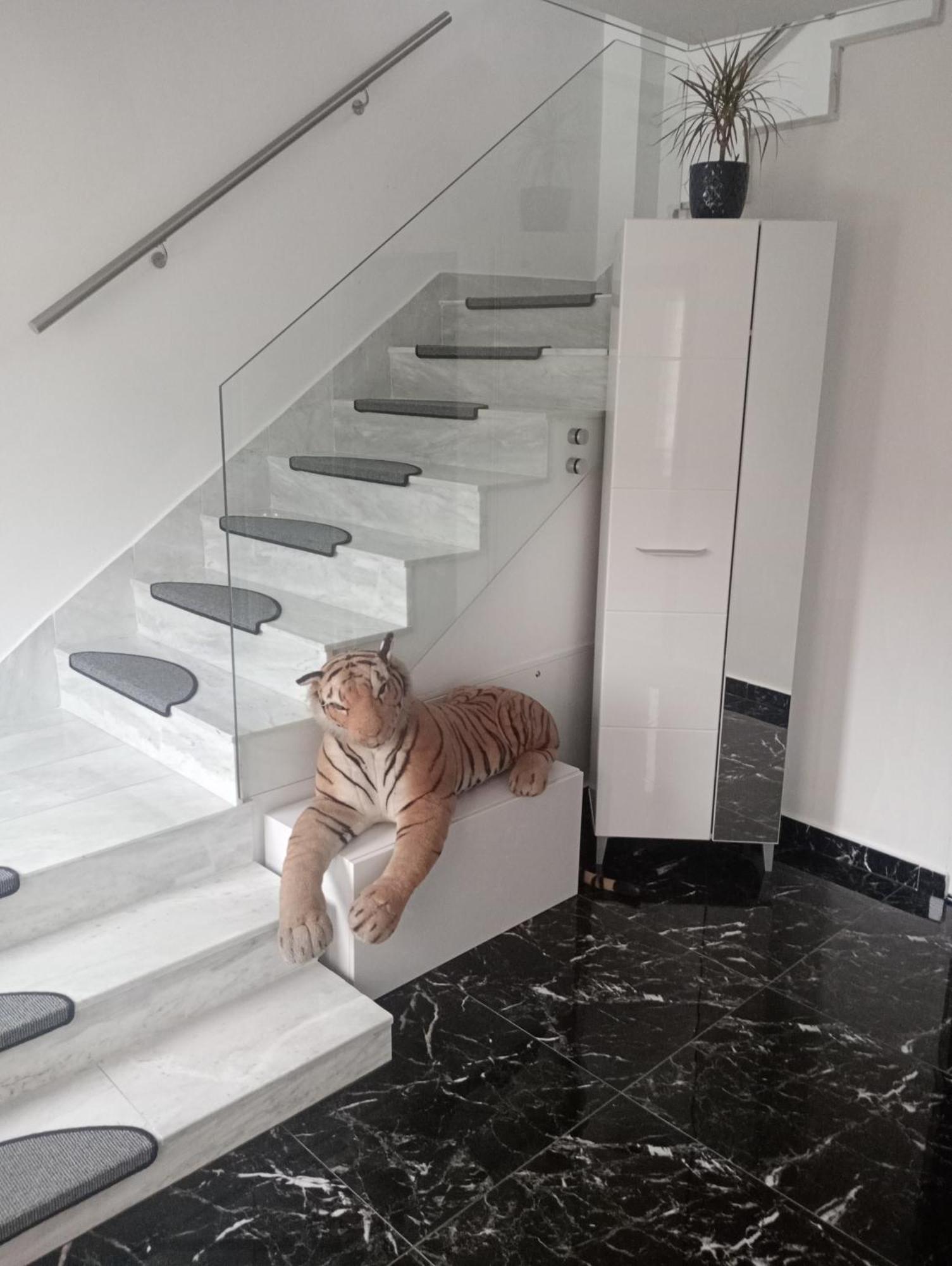 Izabella Guest House Săcele Zewnętrze zdjęcie