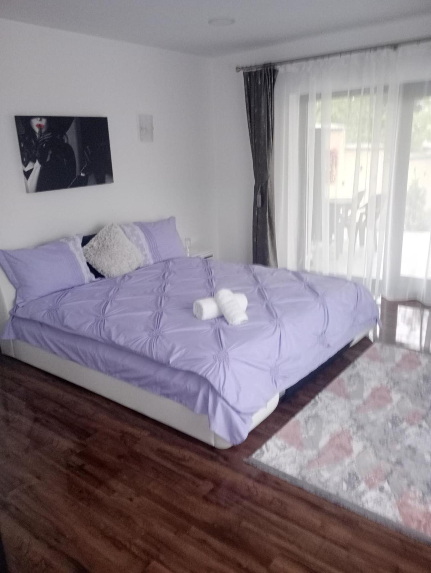 Izabella Guest House Săcele Zewnętrze zdjęcie