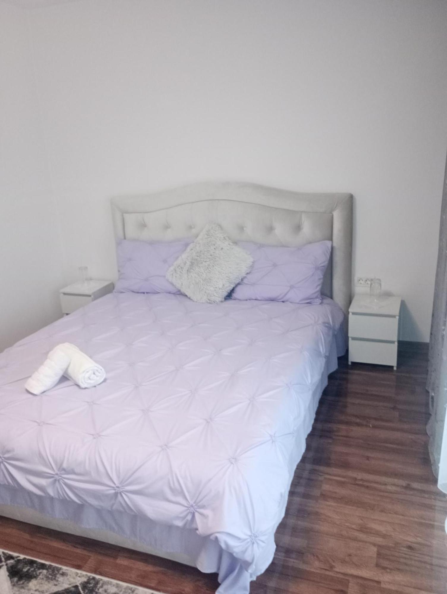 Izabella Guest House Săcele Zewnętrze zdjęcie