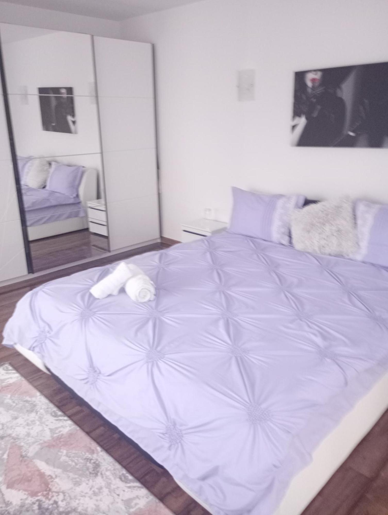 Izabella Guest House Săcele Zewnętrze zdjęcie
