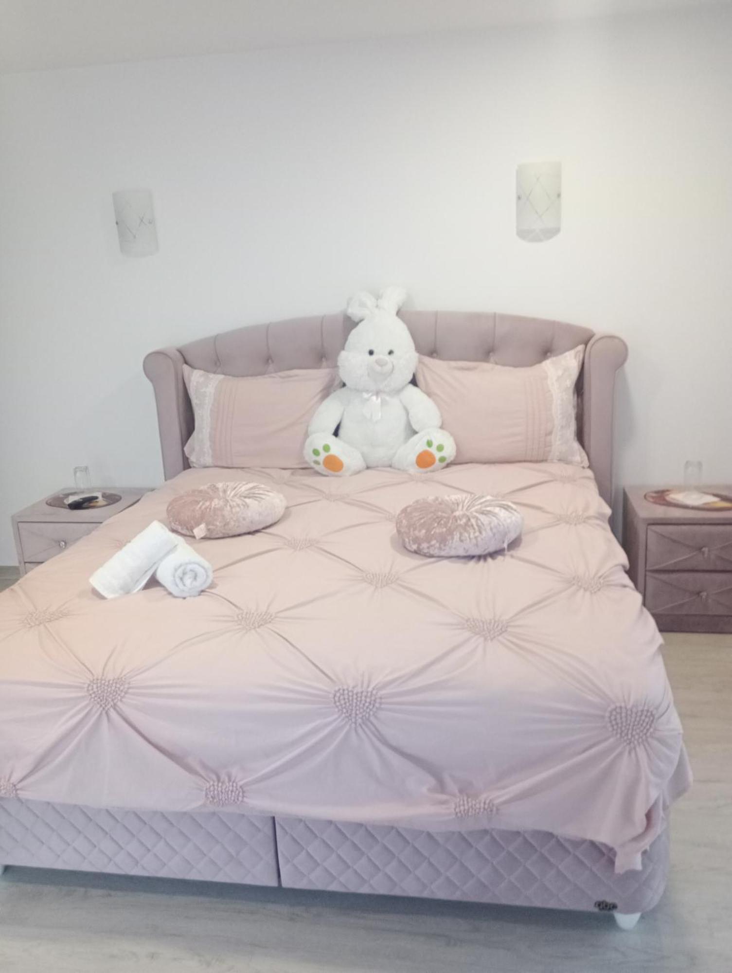 Izabella Guest House Săcele Zewnętrze zdjęcie