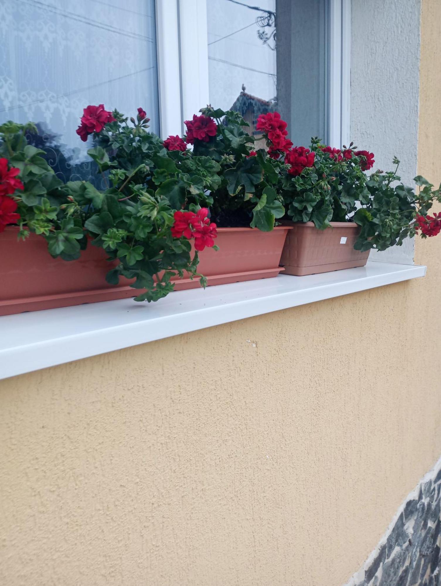 Izabella Guest House Săcele Zewnętrze zdjęcie