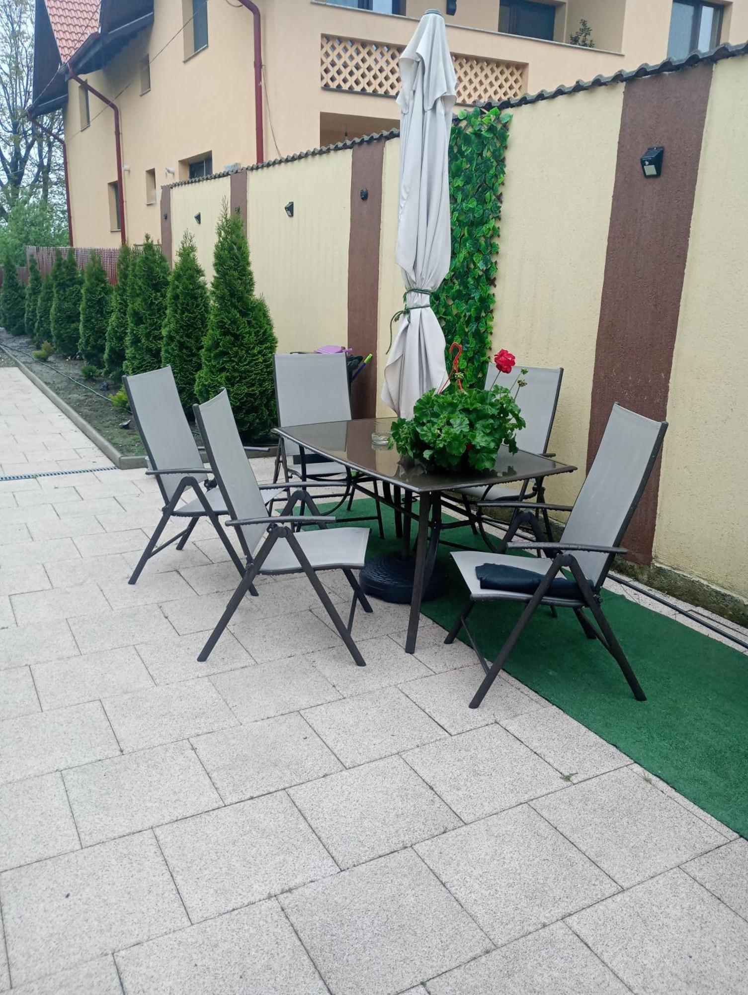 Izabella Guest House Săcele Zewnętrze zdjęcie