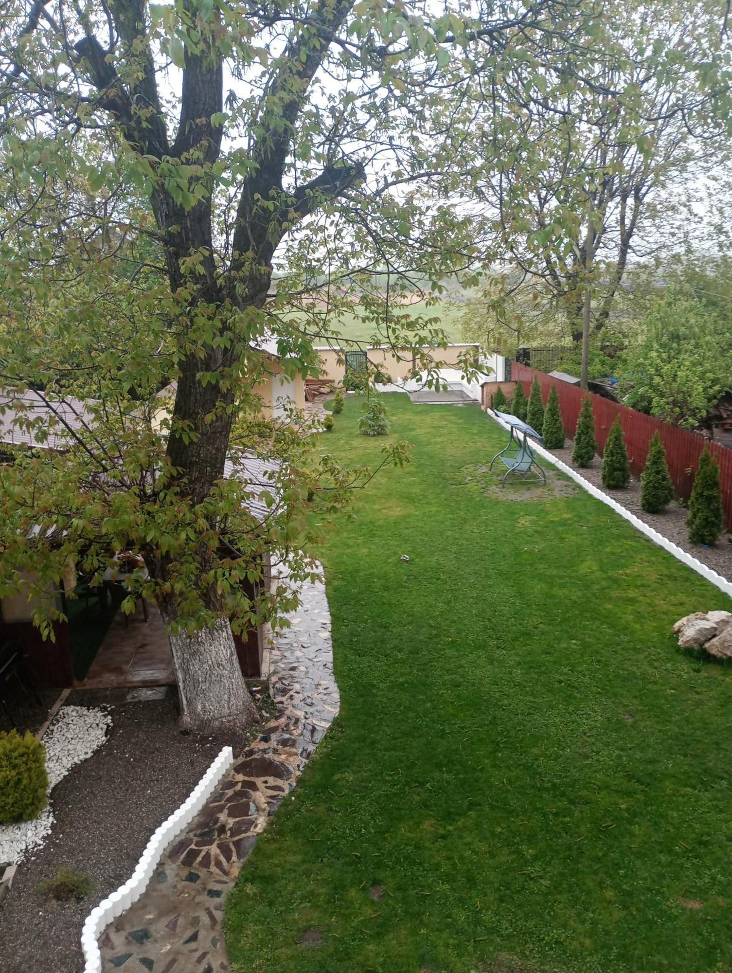Izabella Guest House Săcele Zewnętrze zdjęcie
