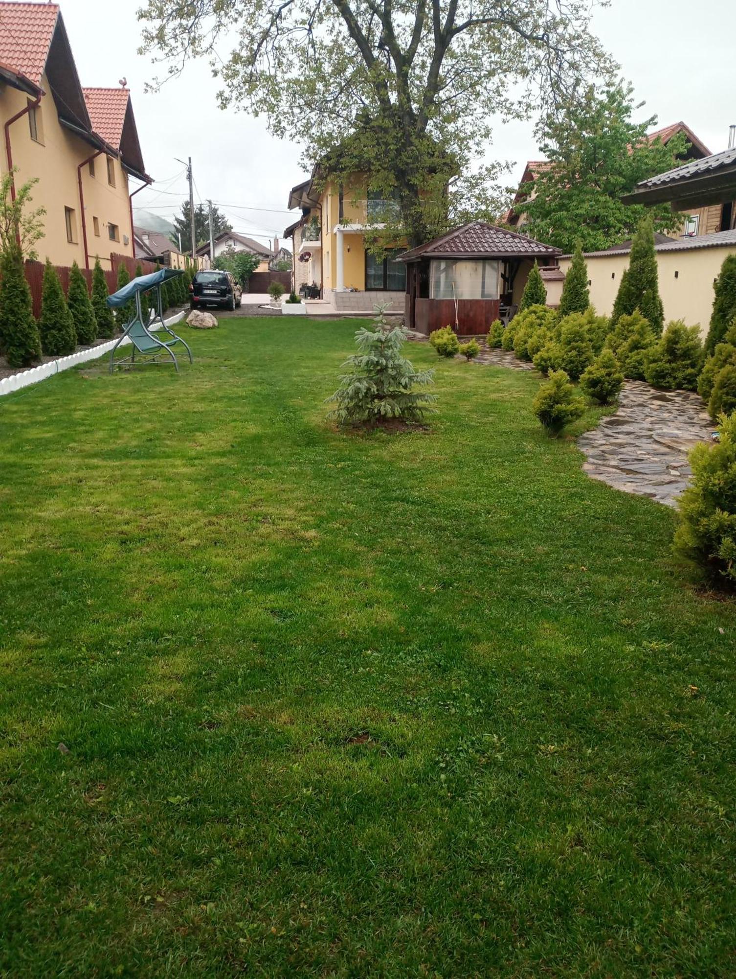 Izabella Guest House Săcele Zewnętrze zdjęcie